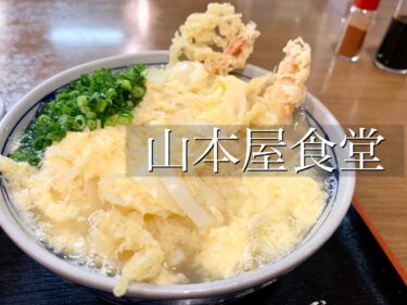 【山本屋食堂】天とじうどんは月1で食べたいレベルになってます。熊本・中央区